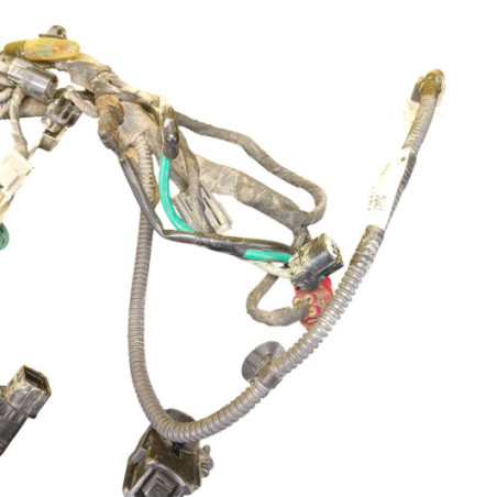 Faisceau Electrique Honda 250 Crf 2022-2024