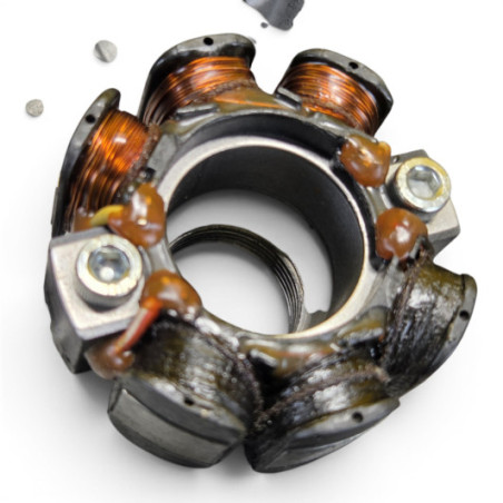 Couvercle Carter Allumage Kawasaki 250 Kxf 2004-2005