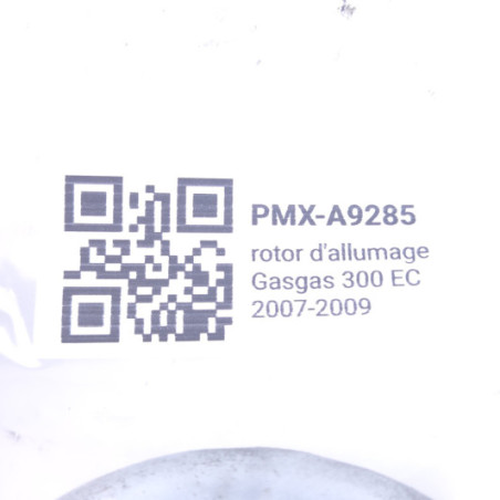 Rotor D'Allumage Gasgas 300 Ec 2007-2009 - fp8009