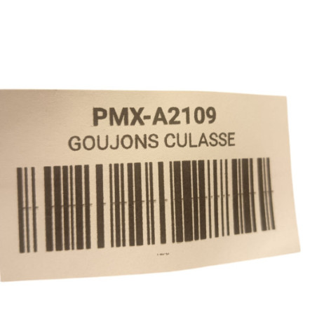 Goujons Culasse Kawasaki 250 Kxf 2004-2005