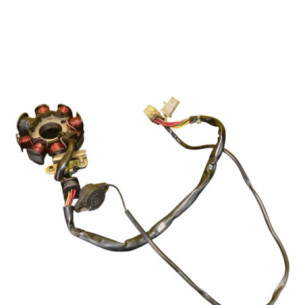 Stator Allumage Husqvarna 450 Te 2000-2005