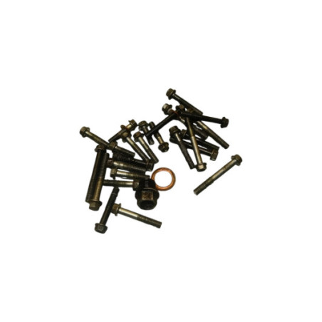 Vis Carter Exterieur Honda 250 Crf 2018-2021