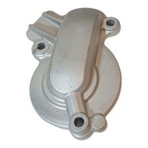 Carter Pompe A Eau 794
