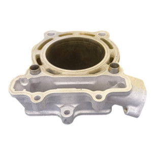Cylindre Kawasaki 250 Kxf 2004-2006 2