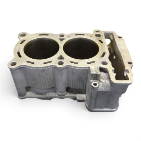 Cylindre 15B00 Yamaha 500 Tmax 2004-2005