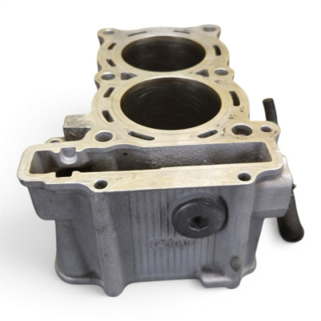 Cylindre 15B00 Yamaha 500 Tmax 2004-2005