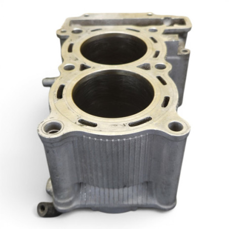 Cylindre 15B00 Yamaha 500 Tmax 2004-2005