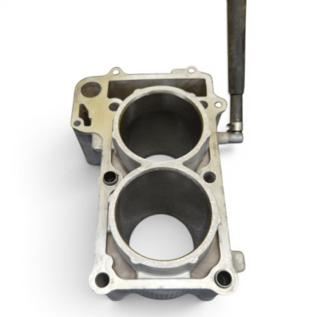 Cylindre 15B00 Yamaha 500 Tmax 2004-2005