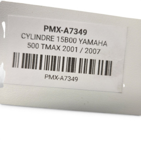 Cylindre 15B00 Yamaha 500 Tmax 2004-2005