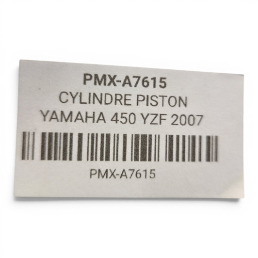 Cylindre Piston Yamaha 450 Yzf 2007-2009