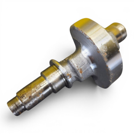 Arbre Equilibrage Vilebrequin Yamaha 350 Yfm 2004-2011