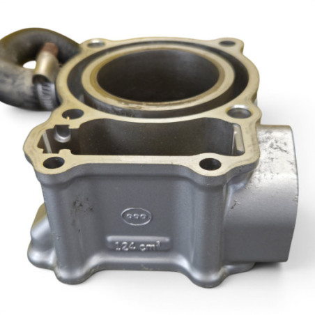 Cylindre Piston   Honda 125 Cbr 2006 - Jc34E