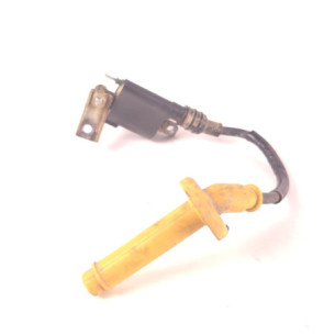 Bobine Allumage Honda 250 Crf 2014-2017