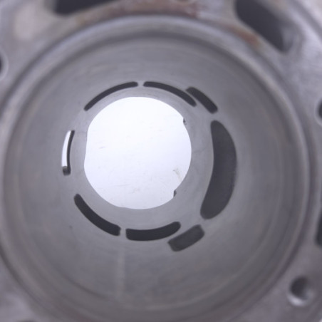 Cylindre Gasgas 300 Ec 1998-2019