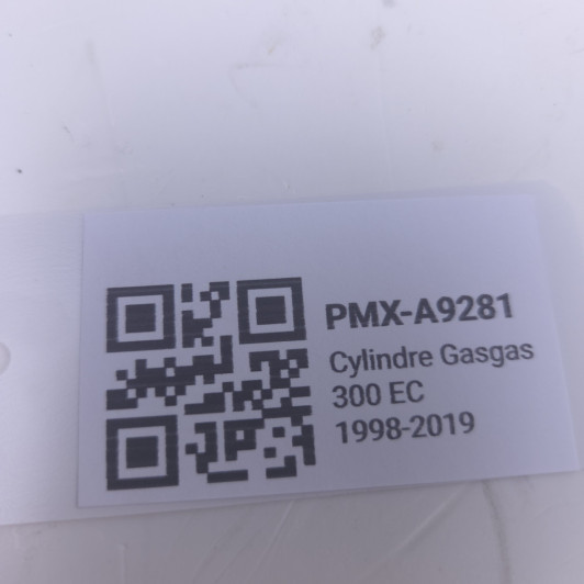 Cylindre Gasgas 300 Ec 1998-2019
