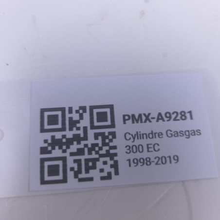 Cylindre Gasgas 300 Ec 1998-2019
