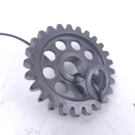 Pignon Roue Libre De Kick Gasgas 300 Ec 2007-2009