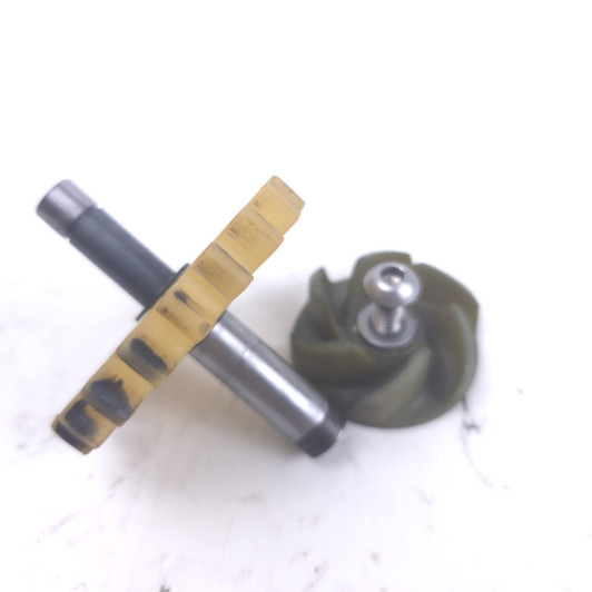 Pompe A Eau Gasgas 300 Ec 2007-2009