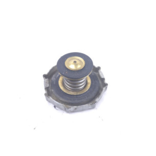 Bouchon De Radiateur Gasgas 300 Ec 2005-2009 2