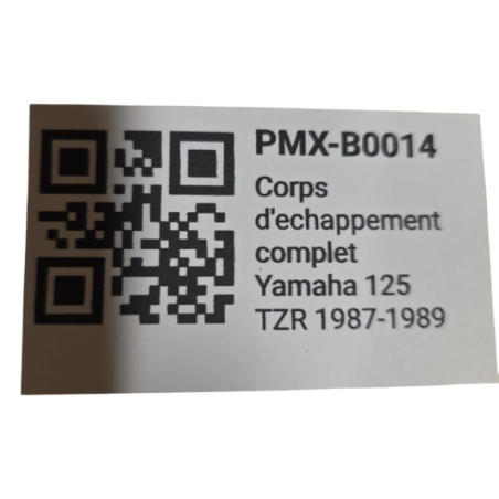 Corps d'echappement complet Yamaha 125 Tzr 1987-1989 - 2RH d'Occasion | Piston MX