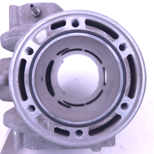 Cylindre D72 beta 300 rr 2018-2020 - 026.11.042.82.0A d'Occasion | Piston MX