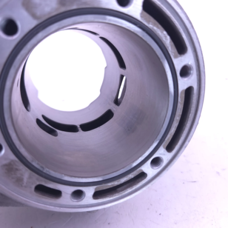Cylindre D72 beta 300 rr 2018-2020 - 026.11.042.82.0A d'Occasion | Piston MX