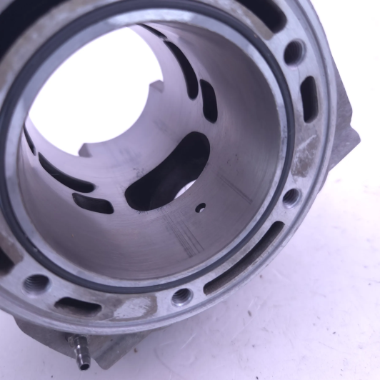 Cylindre D72 beta 300 rr 2018-2020 - 026.11.042.82.0A d'Occasion | Piston MX