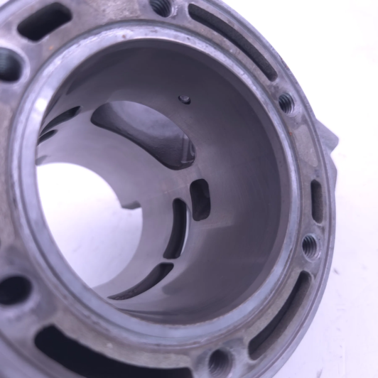 Cylindre D72 beta 300 rr 2018-2020 - 026.11.042.82.0A d'Occasion | Piston MX