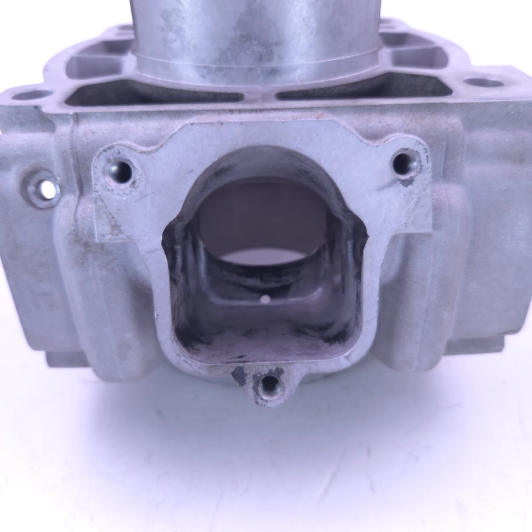 Cylindre D72 beta 300 rr 2018-2020 - 026.11.042.82.0A d'Occasion | Piston MX