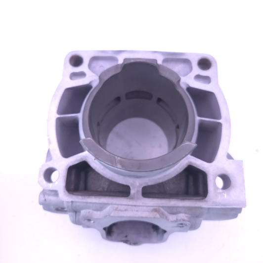 Cylindre D72 beta 300 rr 2018-2020 - 026.11.042.82.0A d'Occasion | Piston MX