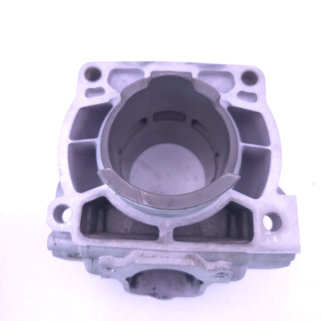 Cylindre D72 beta 300 rr 2018-2020 - 026.11.042.82.0A d'Occasion | Piston MX