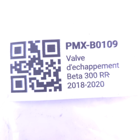 Valve d'echappement beta 300 rr 2018-2020 d'Occasion | Piston MX